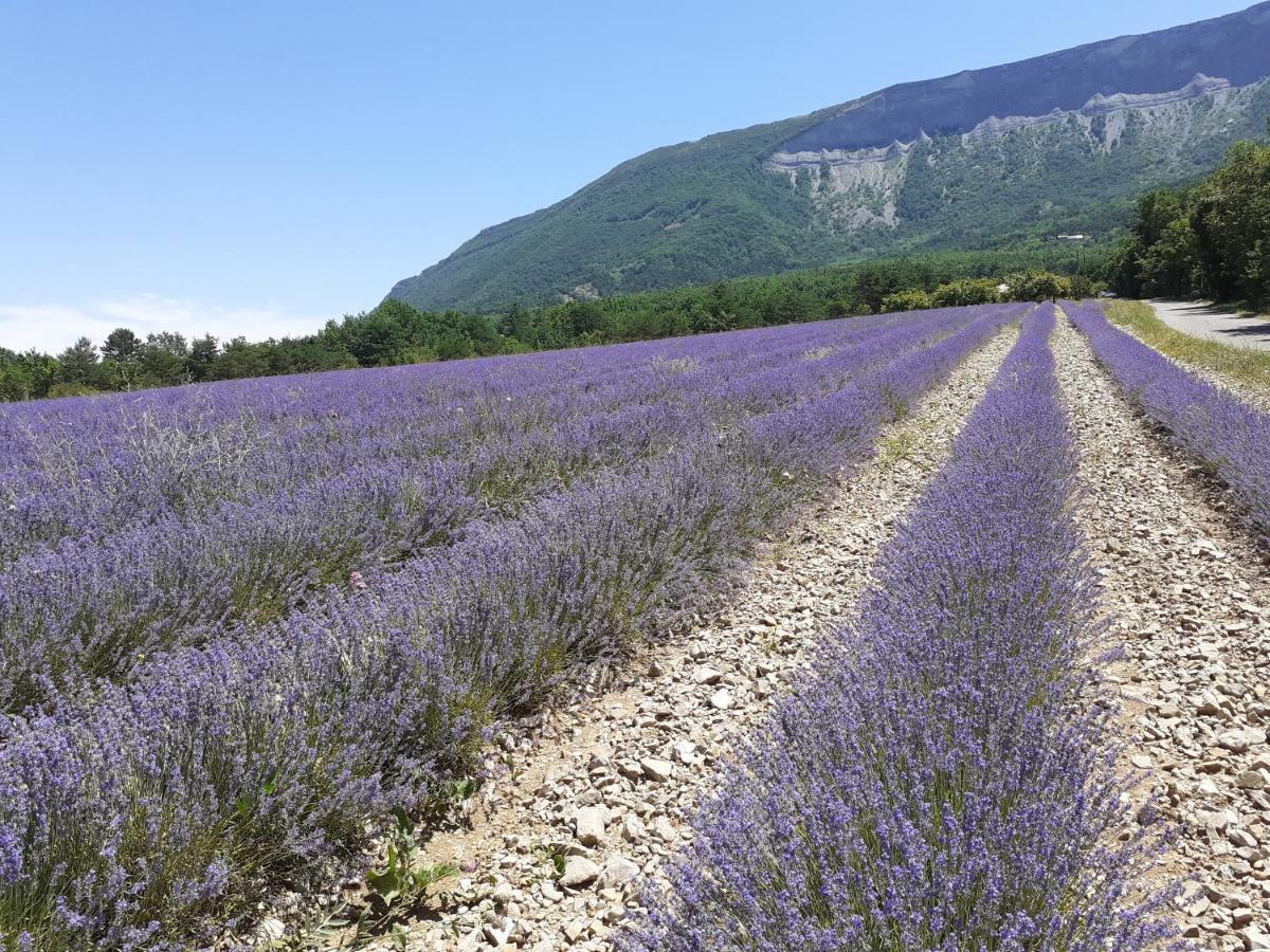 Les Terrasses Du Paradis Orpierre Εξωτερικό φωτογραφία